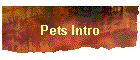 Pets Intro